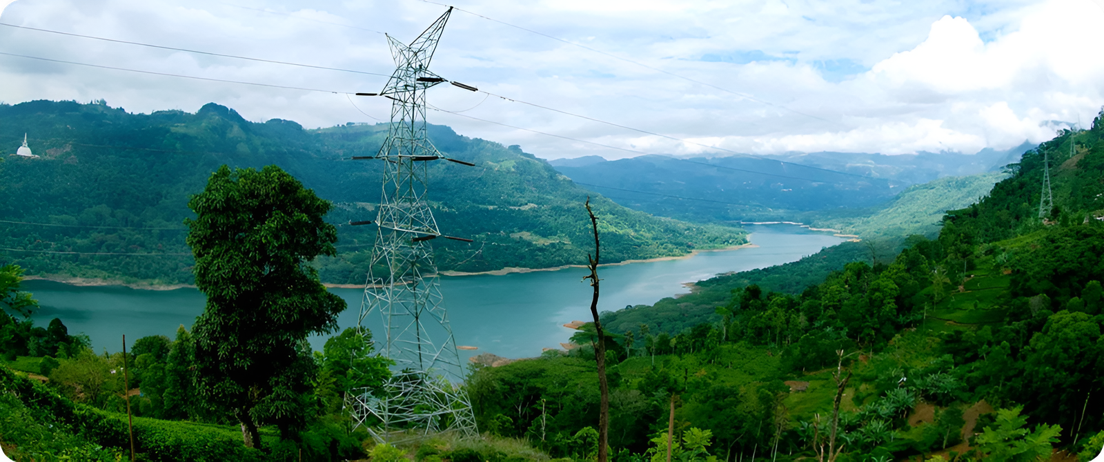 Environmental Sustainability