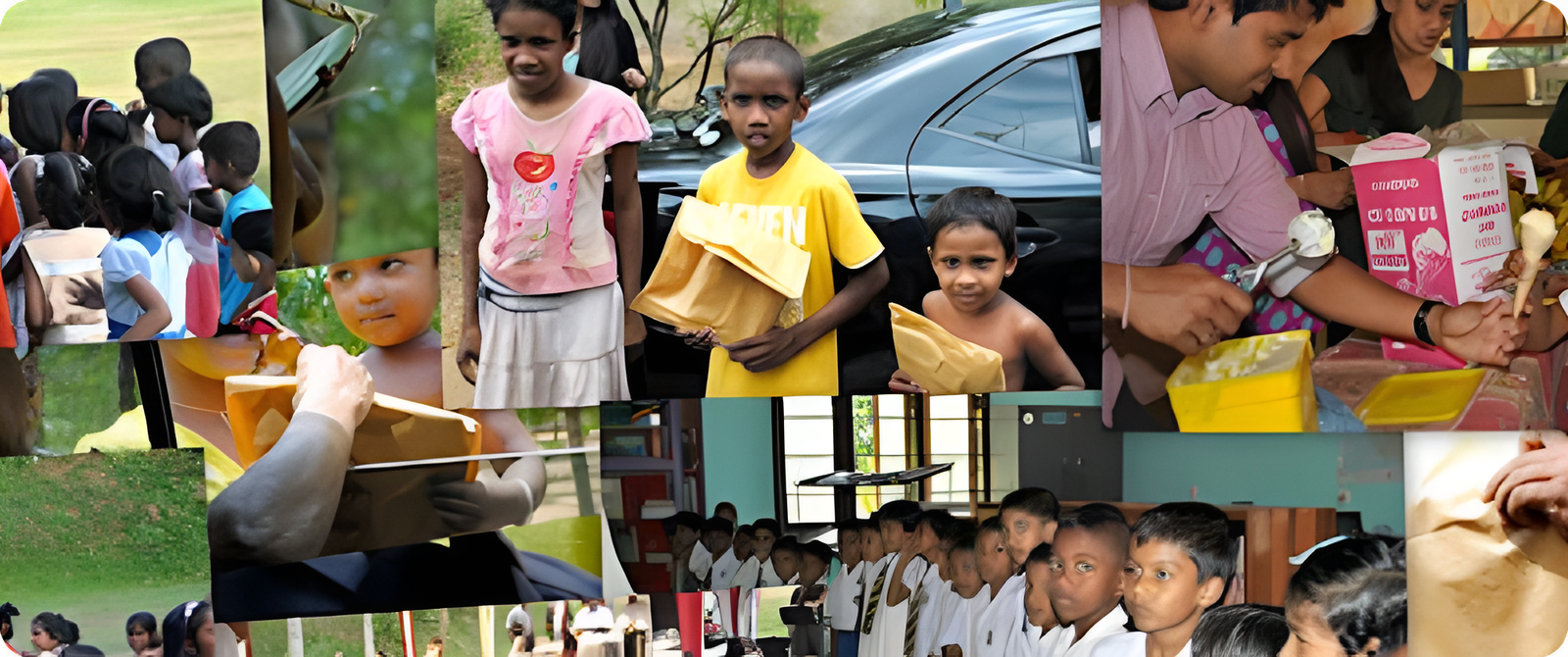 Environmental Sustainability