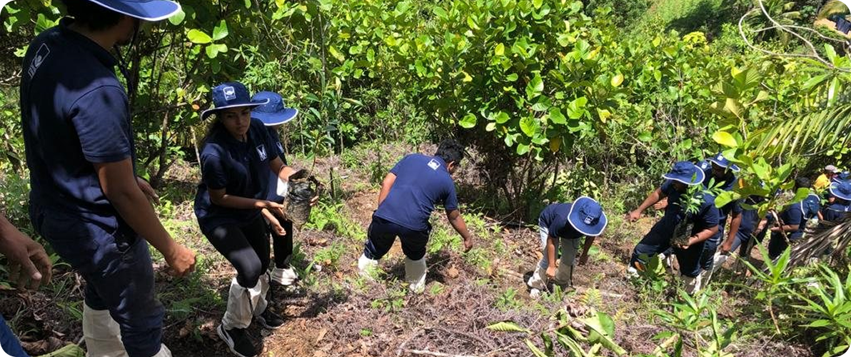 Environmental Sustainability